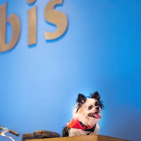 Ibis Jose Malhoa Готель Лісабон