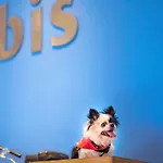 Ibis Jose Malhoa Hotel Lissabon