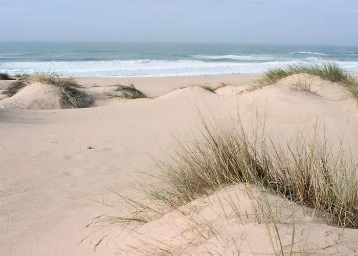 Ibis Jose Malhoa Hotel