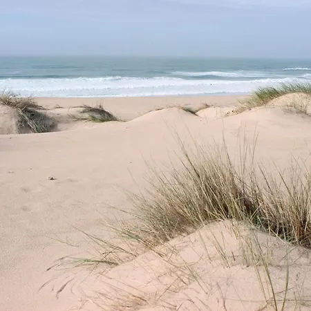 Ibis Jose Malhoa Hotel